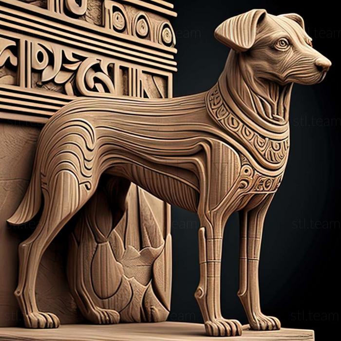 Animals The Canaanite dog